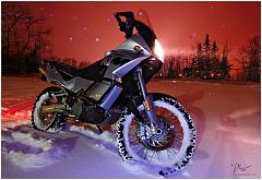 950_Adventure_Snow